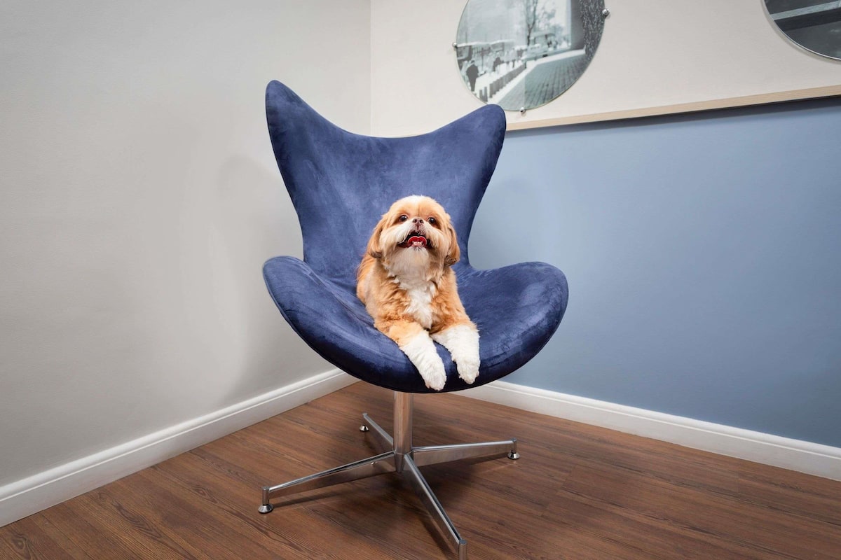 Hypo-allergenic bedding, minibar, in-room safe, desk