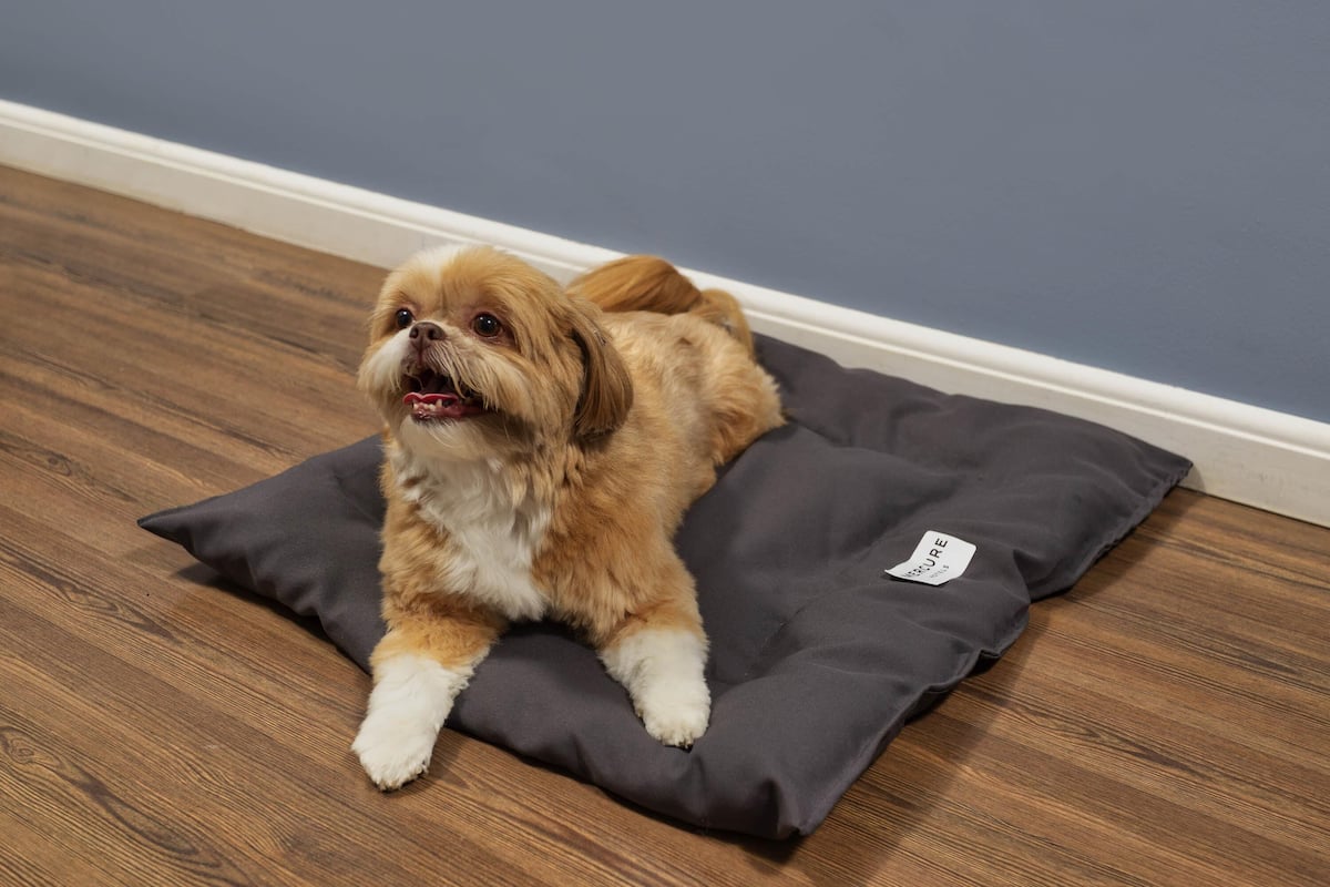 Allergikerbettwaren, Minibar, Zimmersafe, Schreibtisch