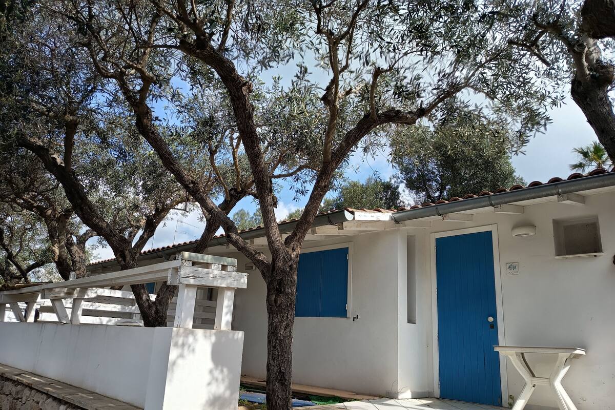 A white building with blue doors, a stone wall, and a tree.