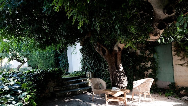 Un espace extérieur aménagé avec des meubles en osier, placé sous un arbre, entouré de verdure et bordé d’un mur en pierre.
