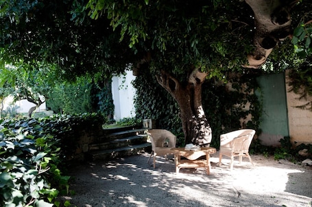 Terrazza/patio. Villa Aurea