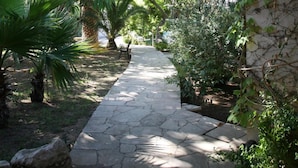 Un chemin de pierres serpente à travers un jardin luxuriant, où poussent différentes espèces de plantes, et une pergola s’étend au-dessus.