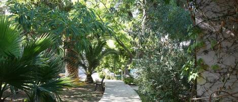 A stone pathway leading through a lush garden with various plants and a pergola overhead.