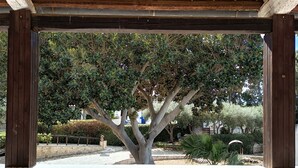 Un espace extérieur abrité, doté d’un toit en tuiles, d’un arbre au centre et d’un mur de pierre en arrière-plan.