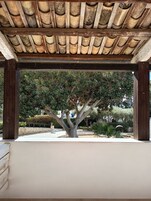 Tripla Classic | Terrazza/patio