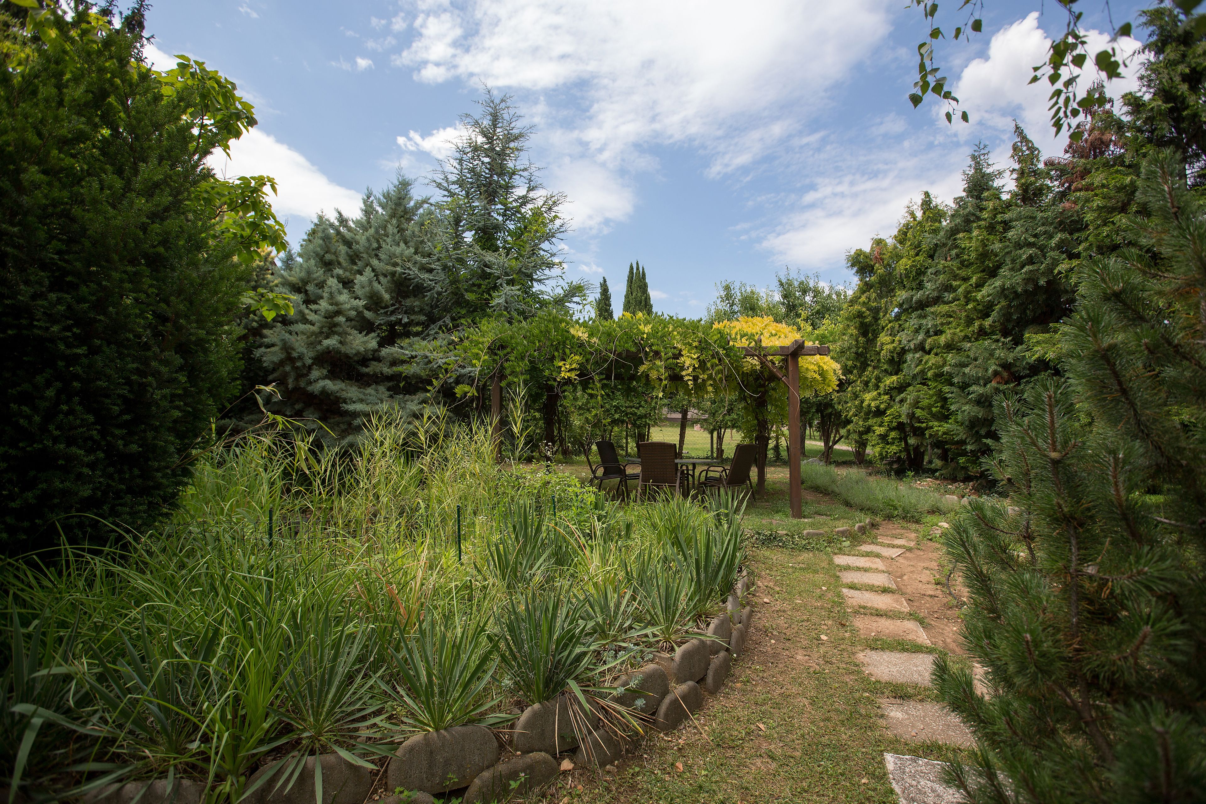 Ein Gartenweg mit einer Pergola und einer Sitzgelegenheit.