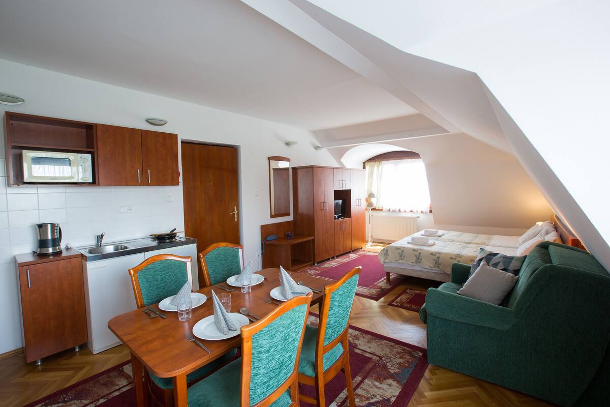 A compact living space with a kitchen, dining area, and a sleeping area.