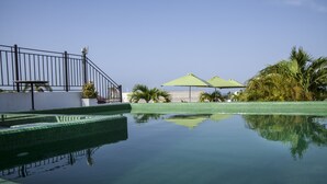 Une piscine à l’eau claire, dont la surface reflète l’environnement, entourée d’un petit muret, de palmiers et de parasols verts.