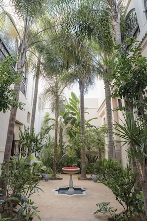 A courtyard with tall palm trees, a central fountain, and a tiled floor.