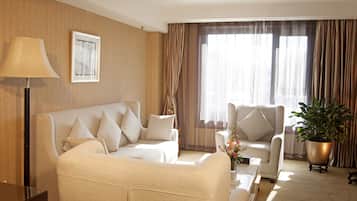 Executive Suite | View from room