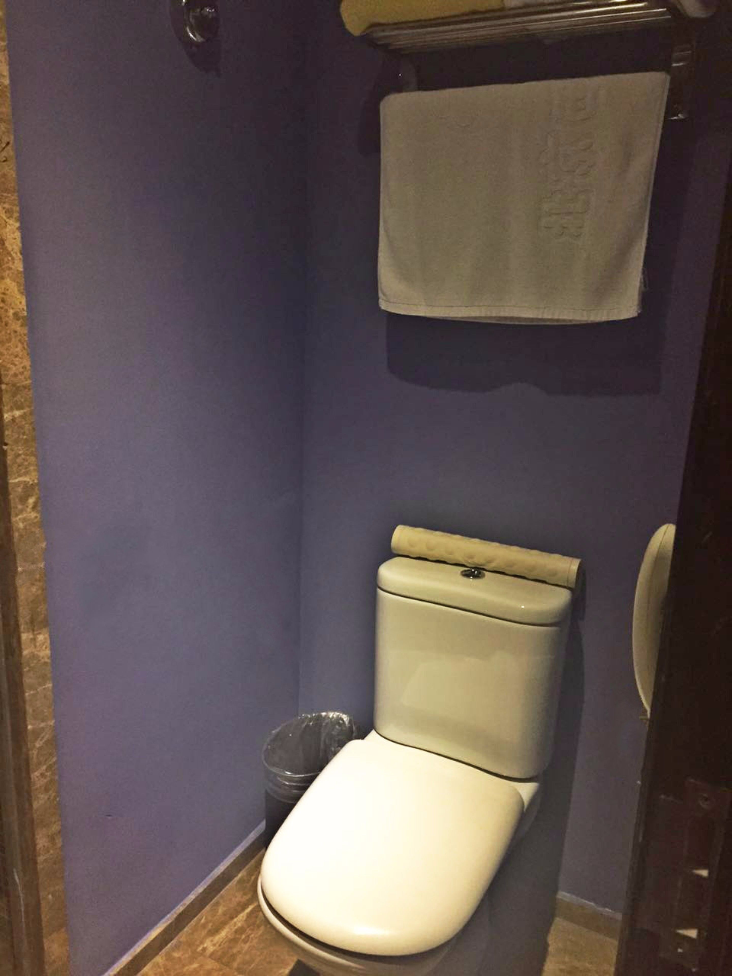 Ein Badezimmer mit Toilette, Mülleimer und einem Handtuch an einem Haken.