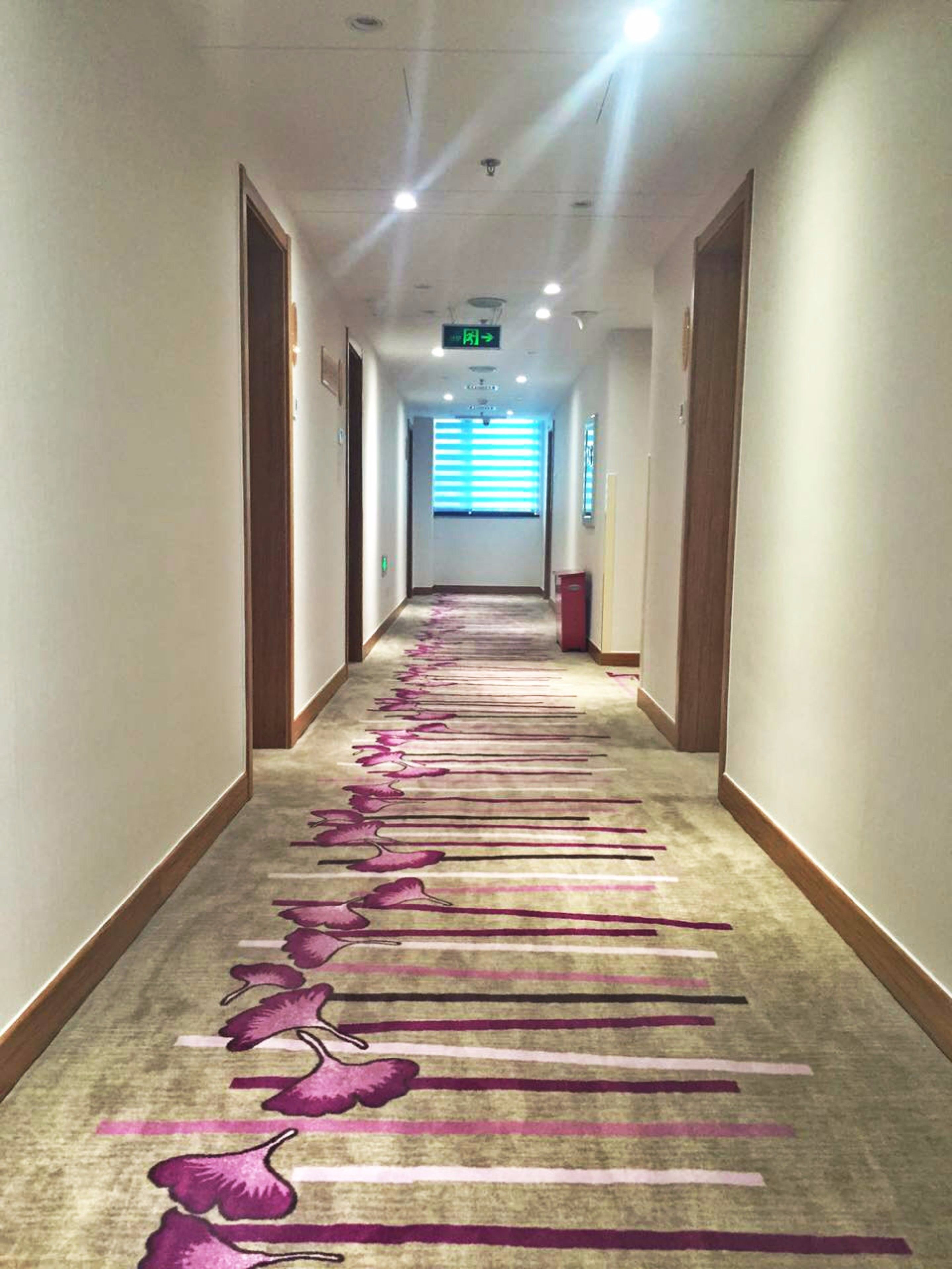 A hotel hallway with a carpet featuring pink flamingo designs, wooden doors, and a window with blinds.