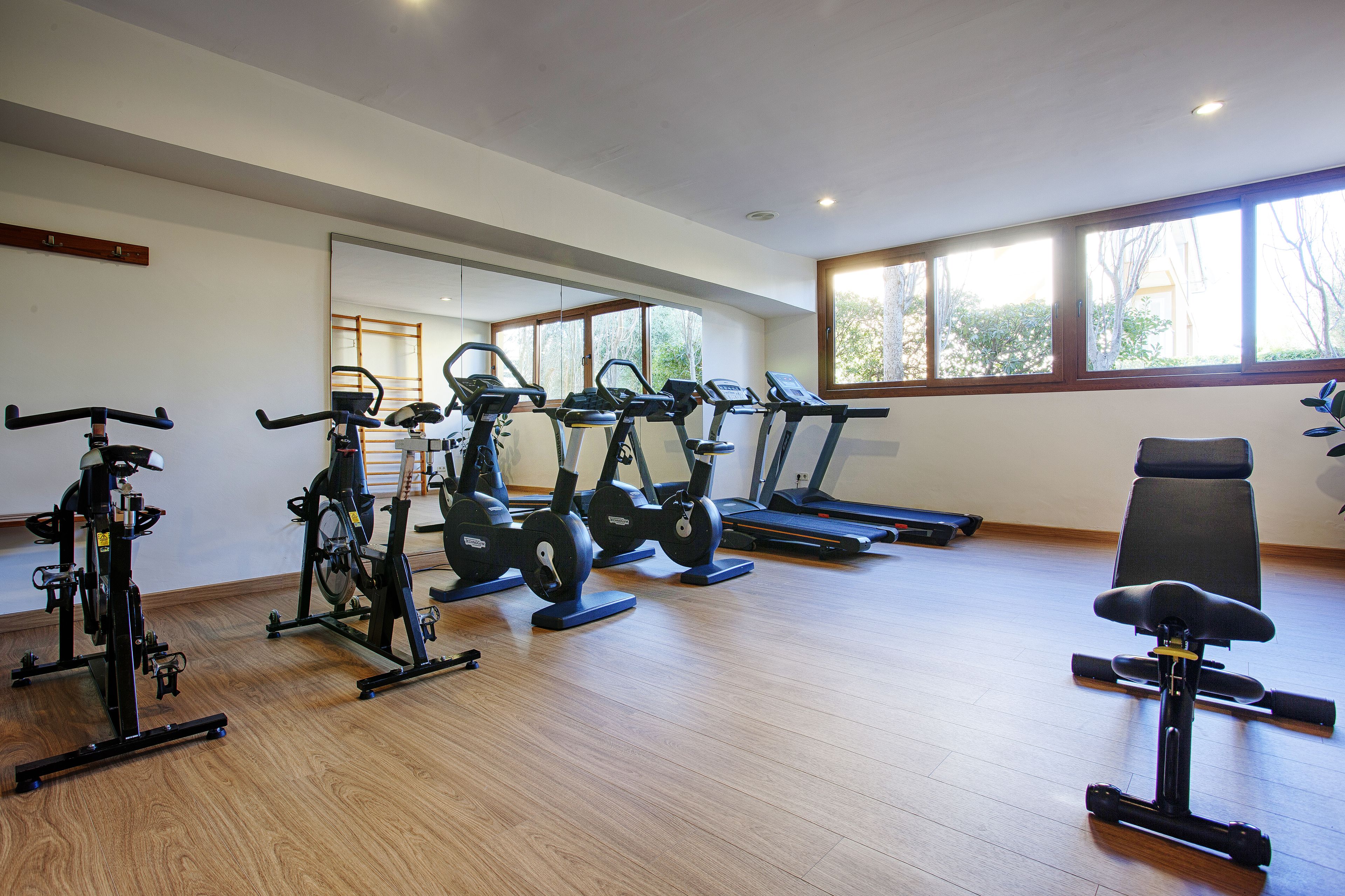 Un gimnasio con máquinas de cardio, una máquina de remo y un banco para pesas.