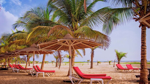Uma praia com fileiras de cadeiras de banho vermelhas e guarda-sóis de palha.