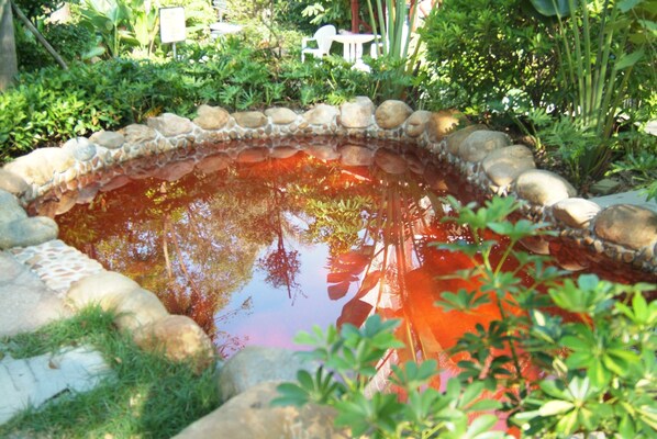 Um pequeno lago com borda de pedra, rodeado por vegetação exuberante.