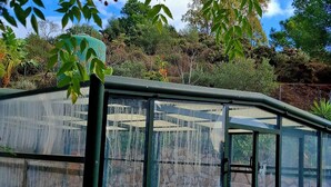 A glass-enclosed pool area with a view of a rocky landscape and trees. - Hotel Los Jarales (Istan)