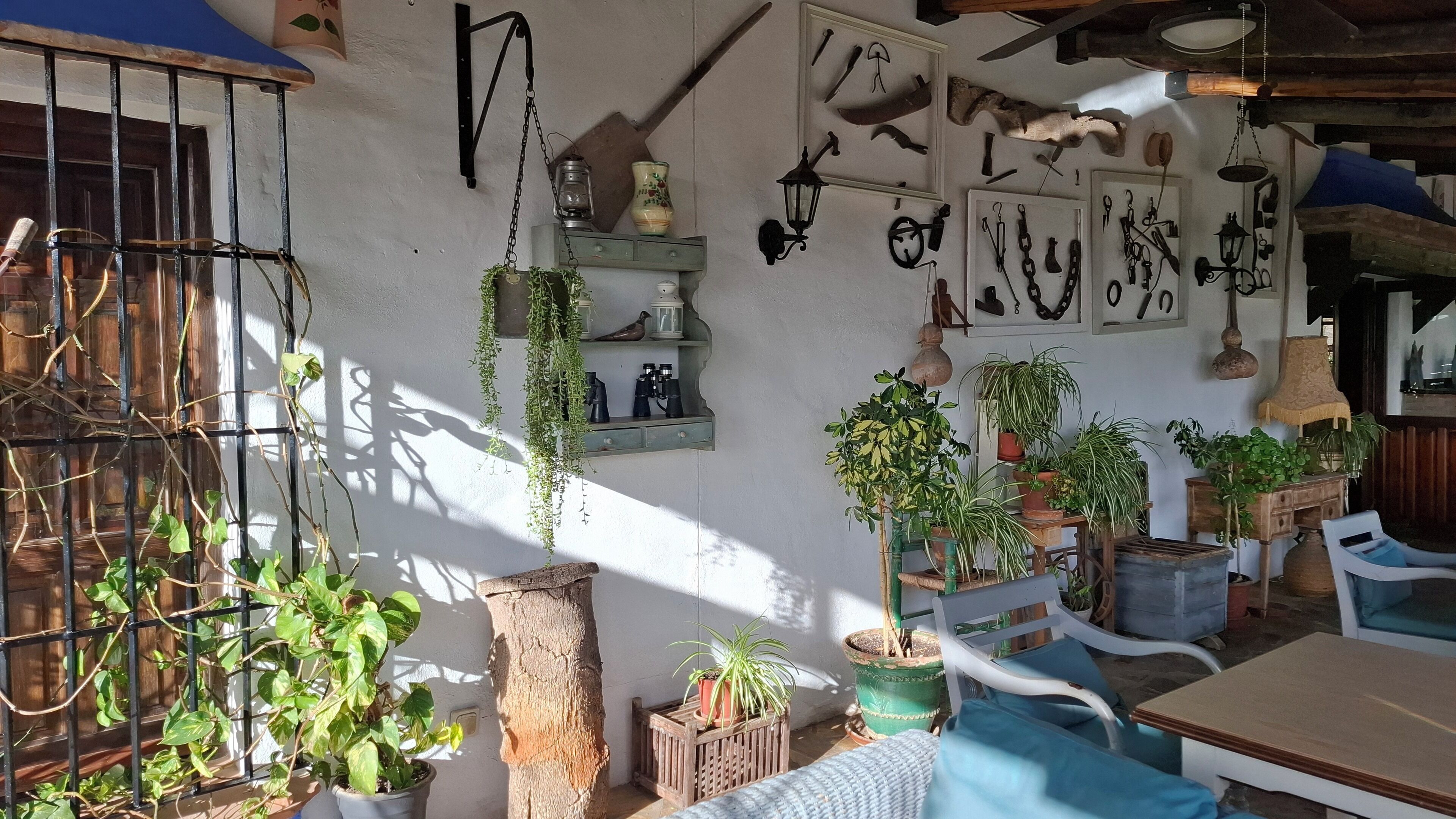 A rustic interior with a wooden table, potted plants, and various tools and decorations on the walls.