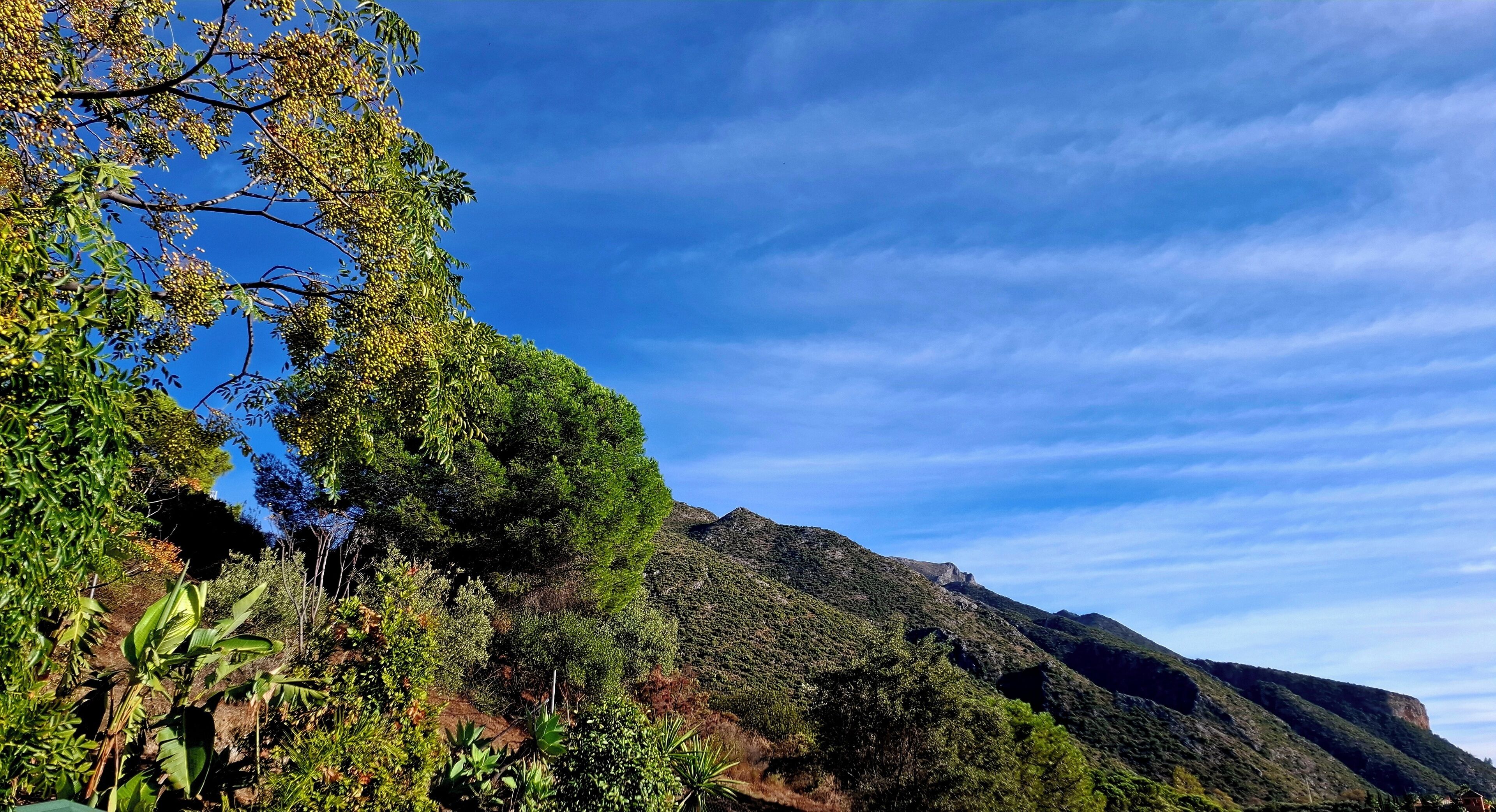 Photo - Hotel Rural Los Jarales
