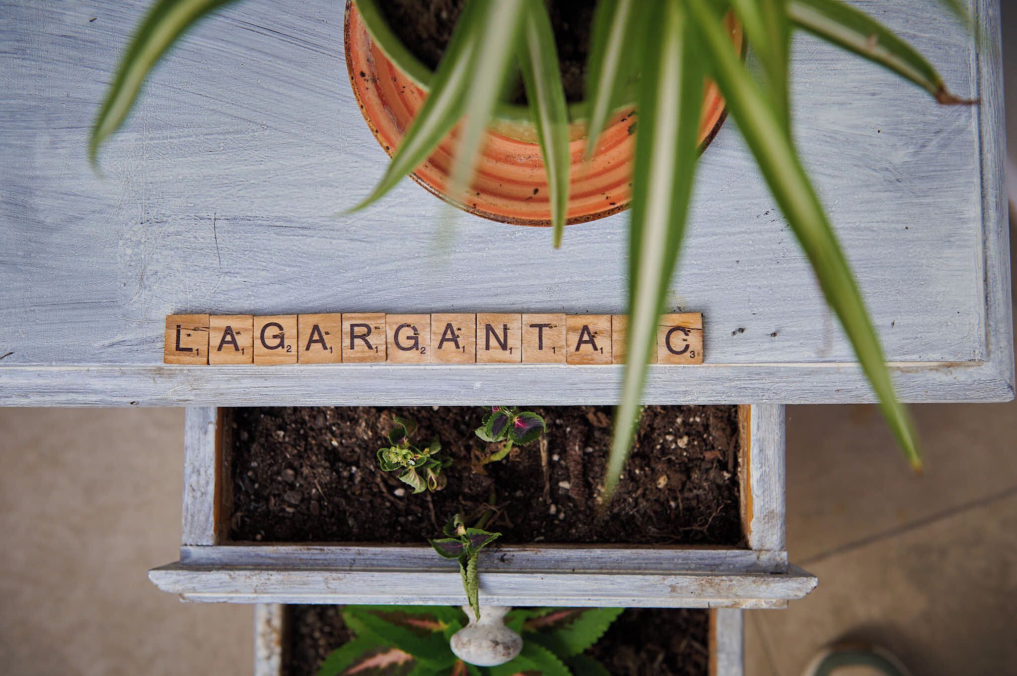 En træplantekasse med et skilt der staver "LAGARGANTA" og en potteplante med grønne blade.