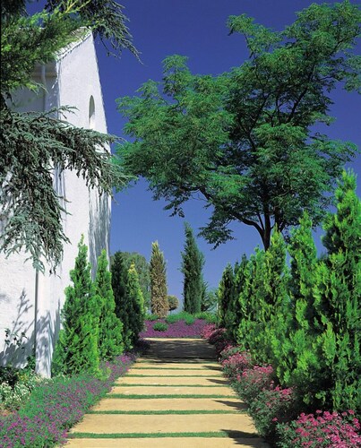 Hotel Bodega El Juncal