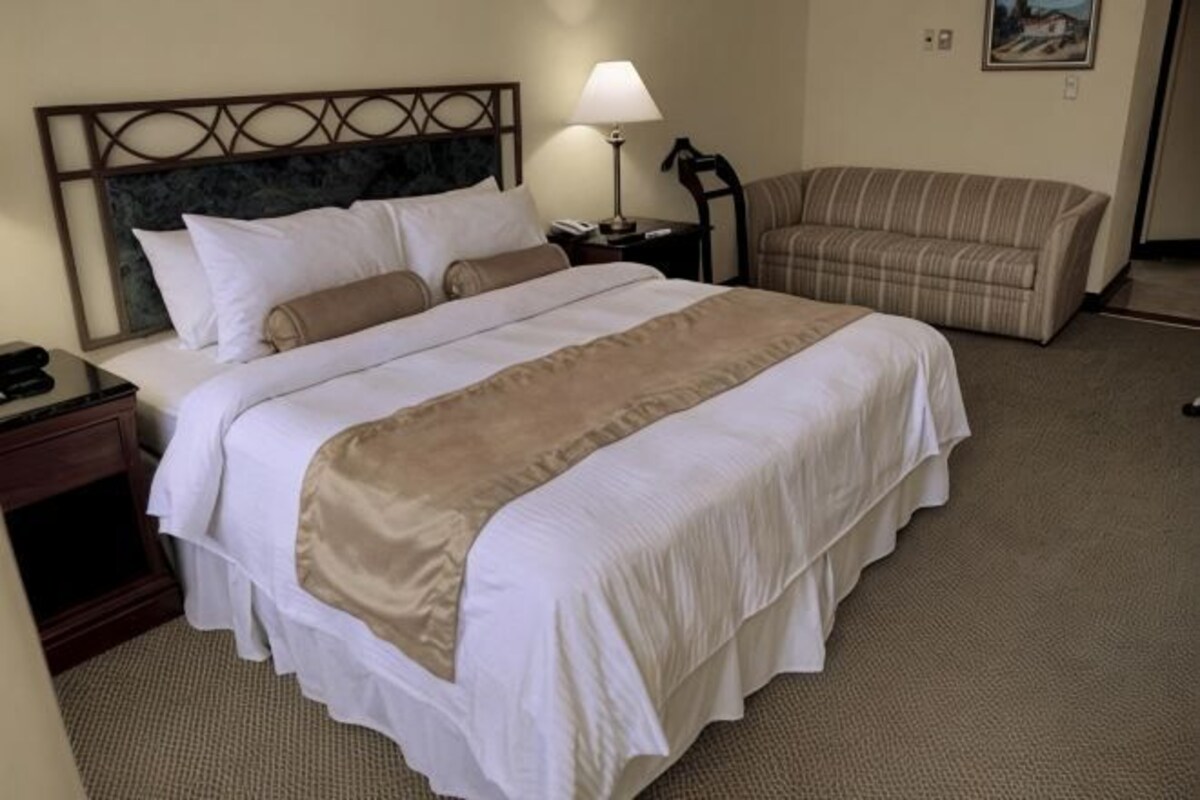 A hotel room with a large bed, a bedside table with a lamp, a chair, and a sofa.