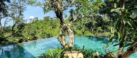 Una piscina cubierta, una piscina al aire libre, sombrillas, tumbonas