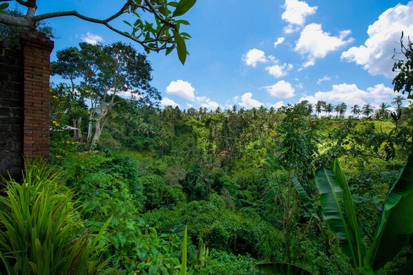 A lush green landscape with dense vegetation and a clear blue sky.