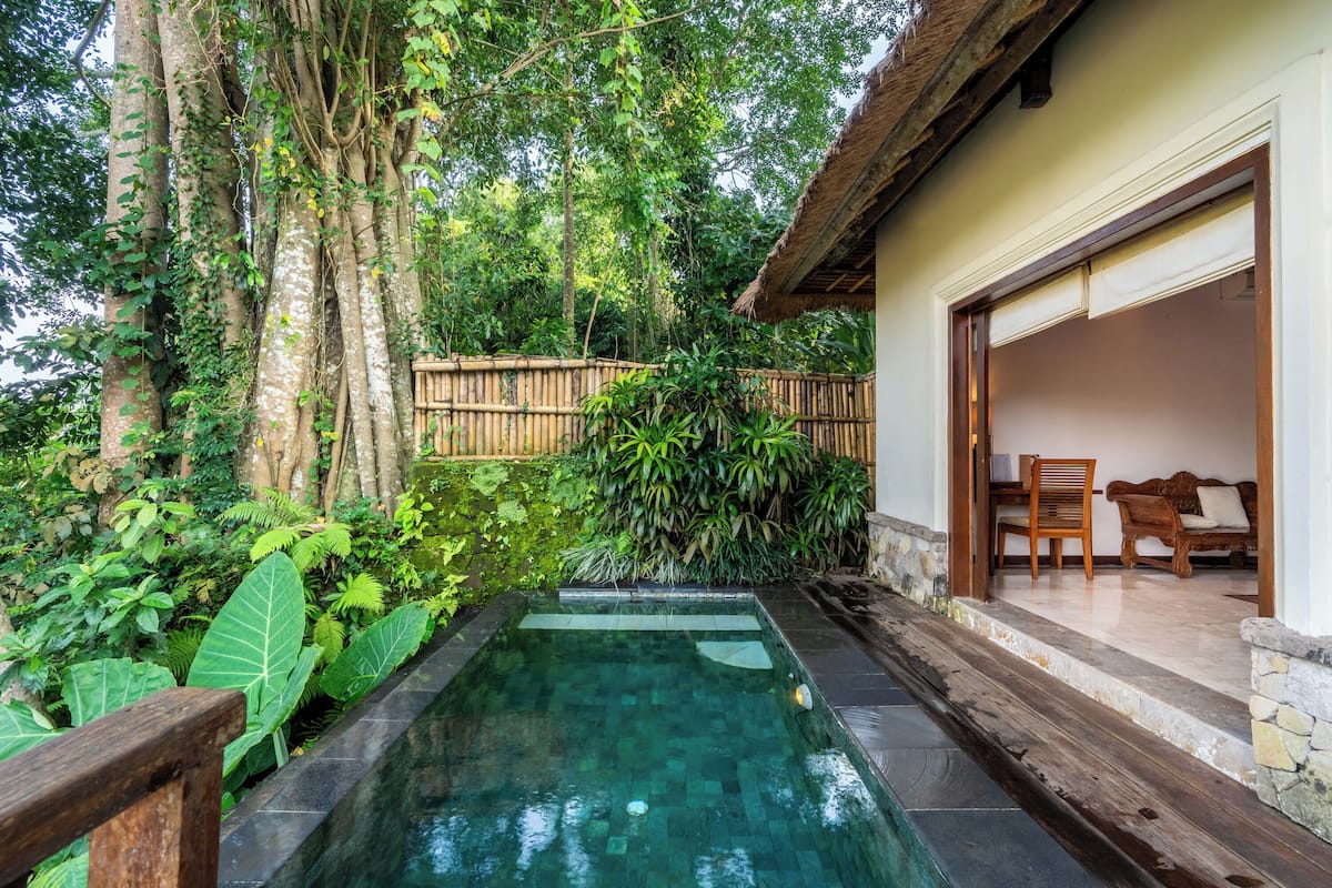 Une piscine privée avec une terrasse en bois, entourée d’une végétation luxuriante et d’une clôture en bambou.