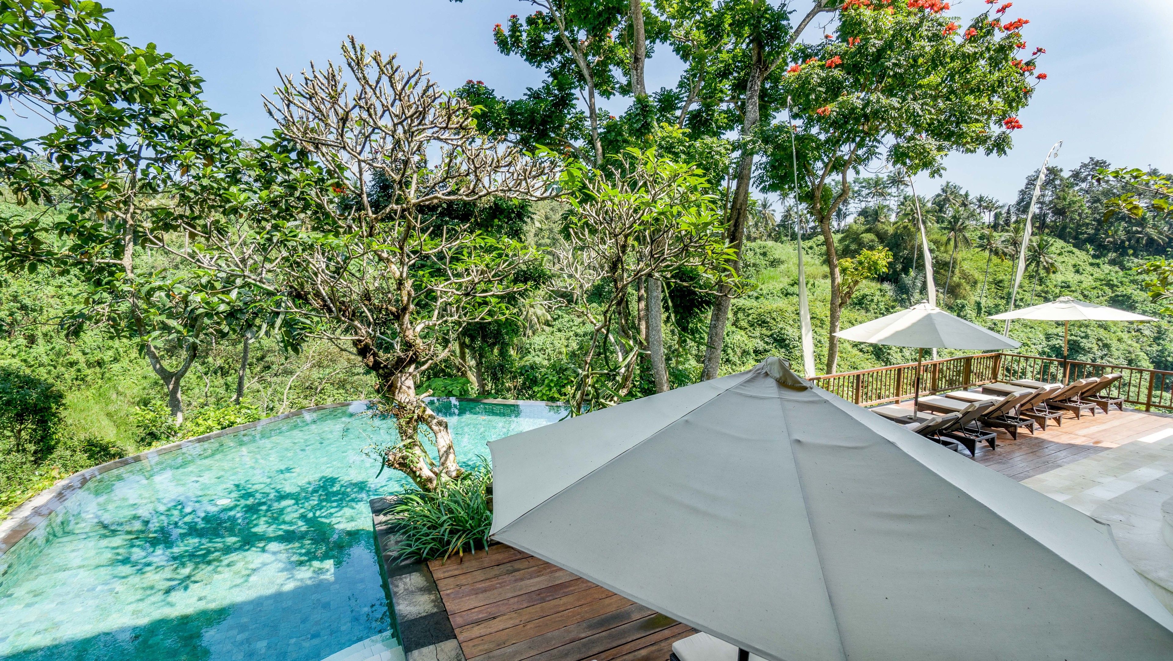 Uma área de piscina com deck de madeira, espreguiçadeiras e guarda-sóis.