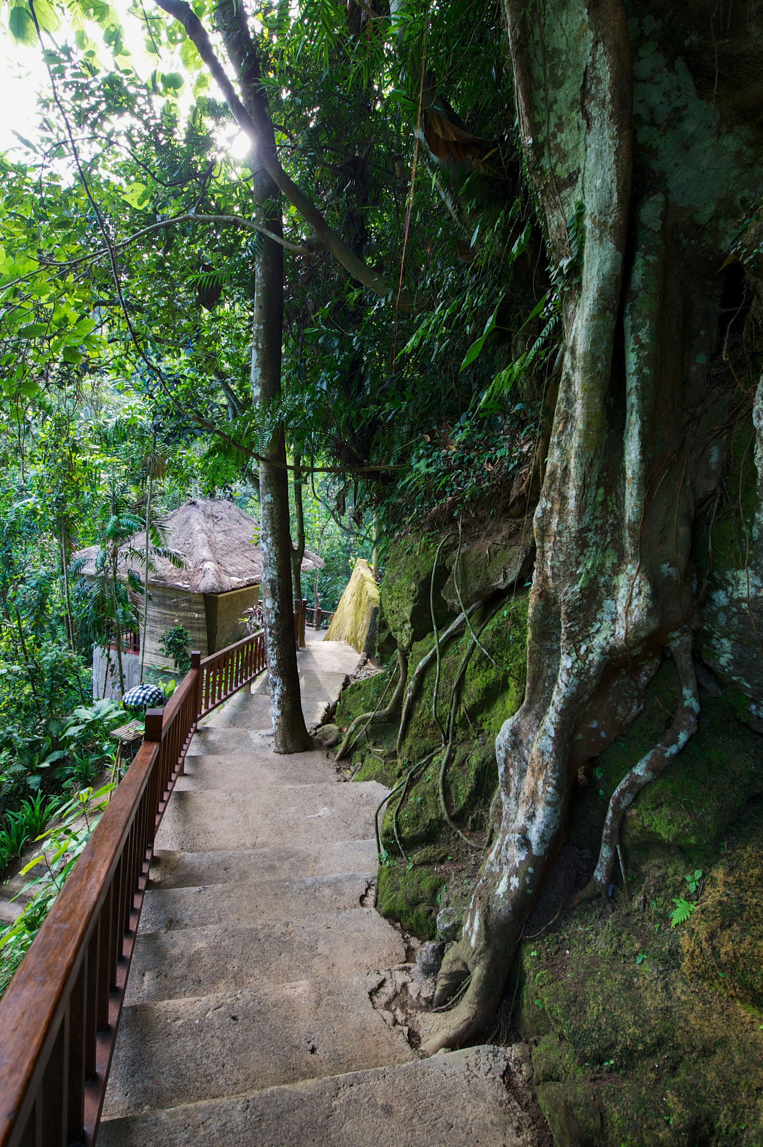 Photo - Natura Resort and Spa