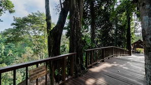 Vista da propriedade