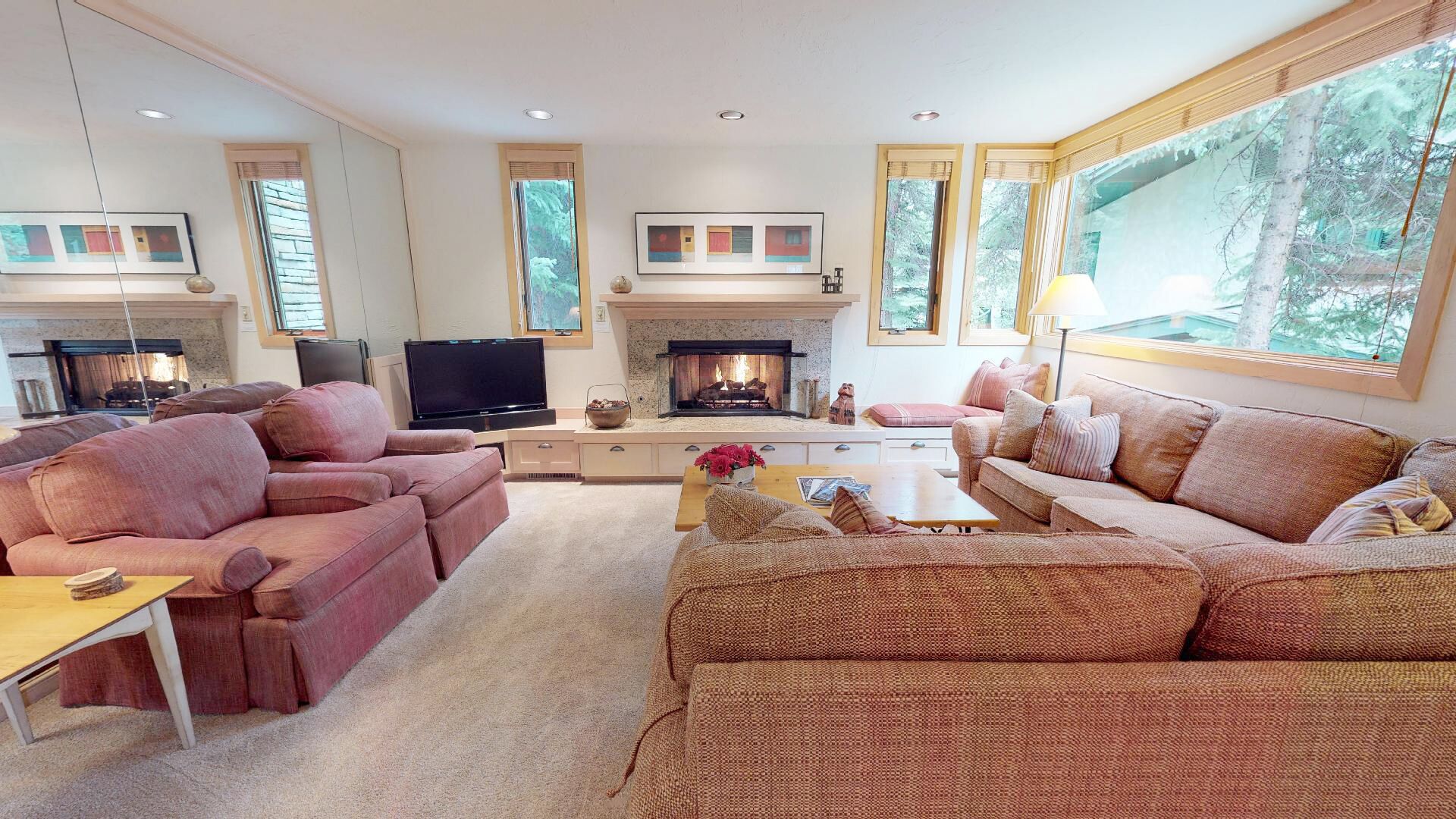 TV, fireplace, DVD player