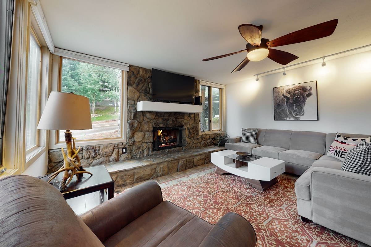 TV, fireplace, DVD player