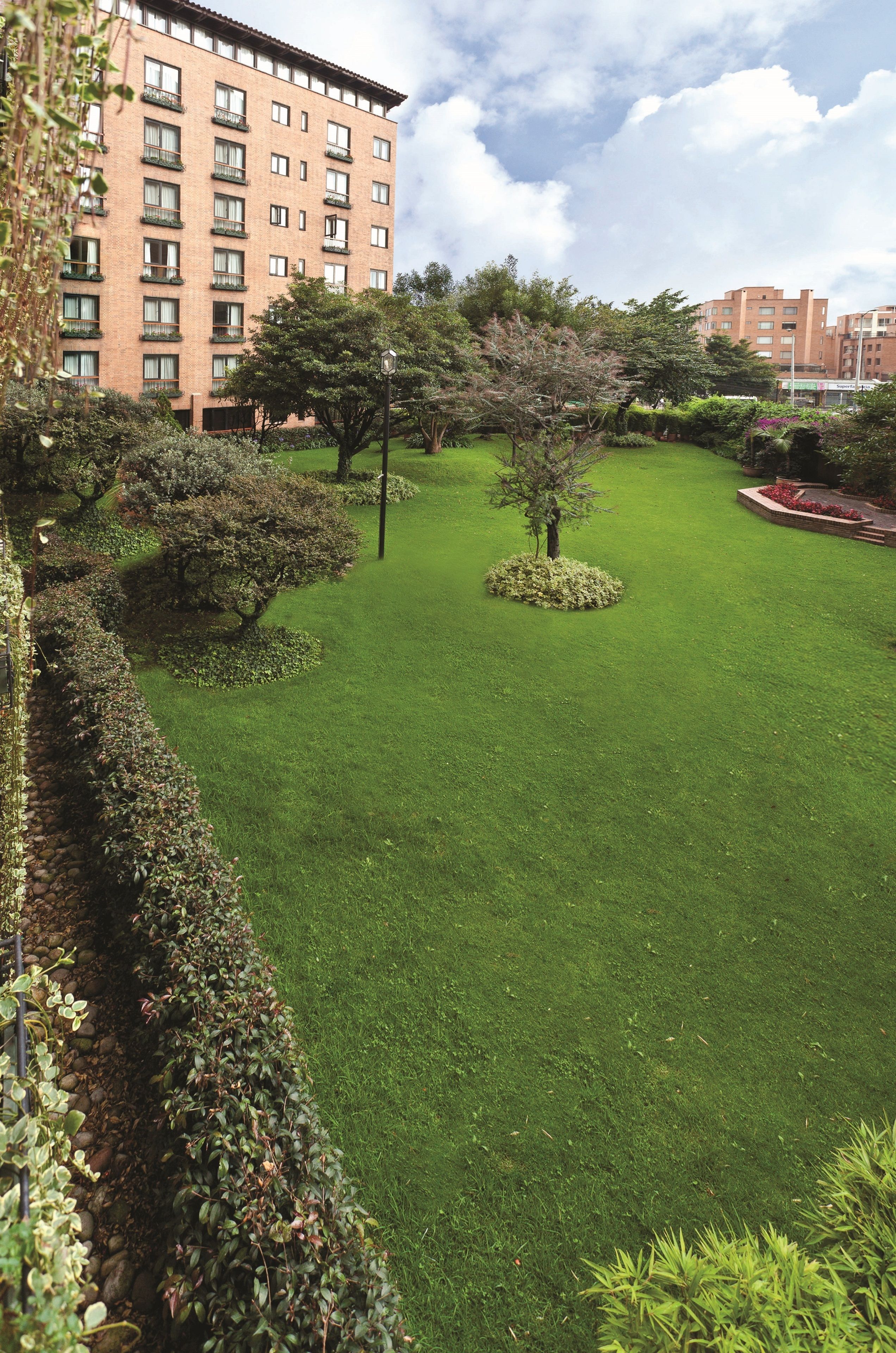 A well-maintained courtyard with a lawn, various shrubs, and a building in the background.
