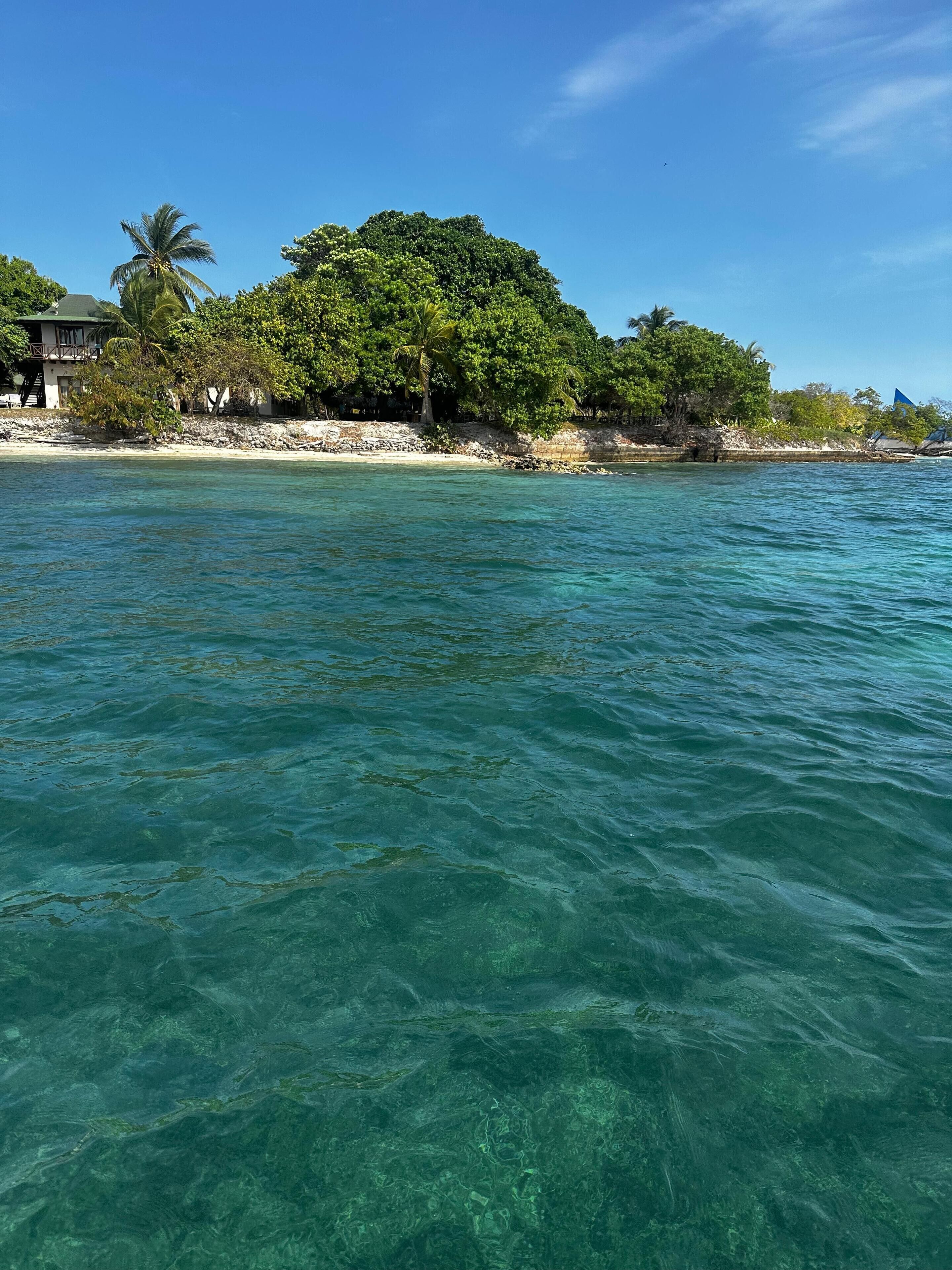A clear view of a beach with a large tree and a building on the shore.
