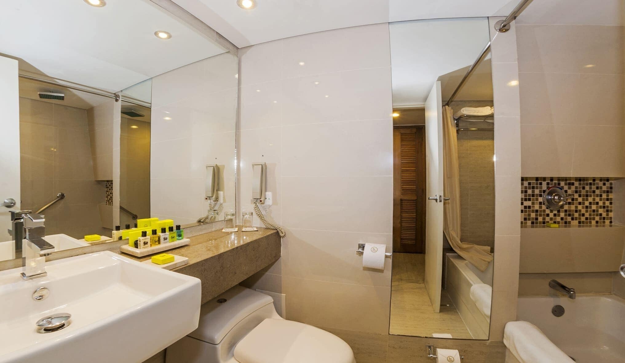 Ducha y bañera combinadas y cabezal de ducha tipo lluvia