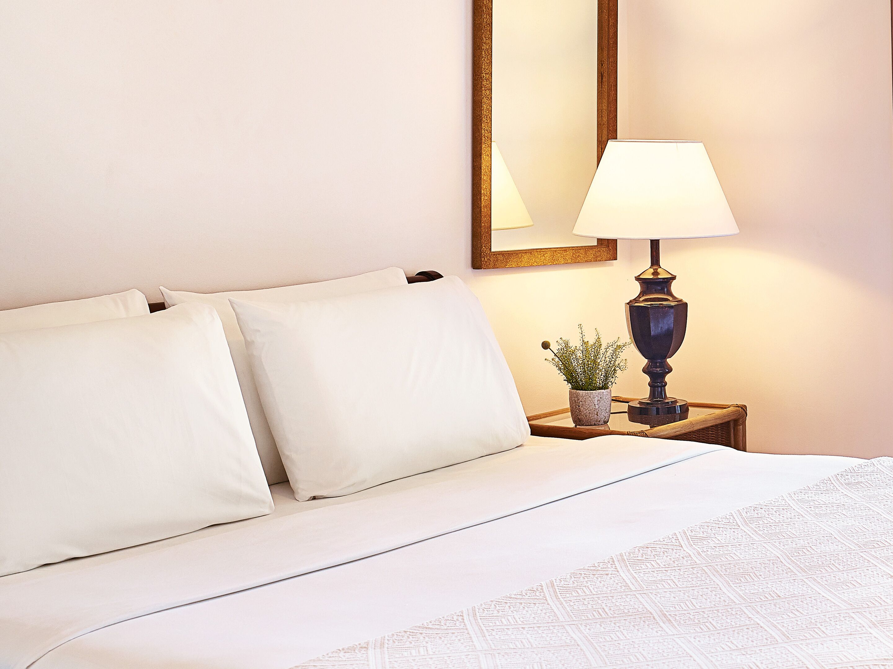 A neatly made bed with white linens, a bedside table with a lamp, and a small potted plant.