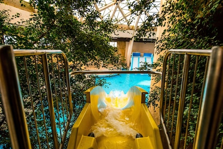Una piscina techada, una piscina al aire libre, sombrillas