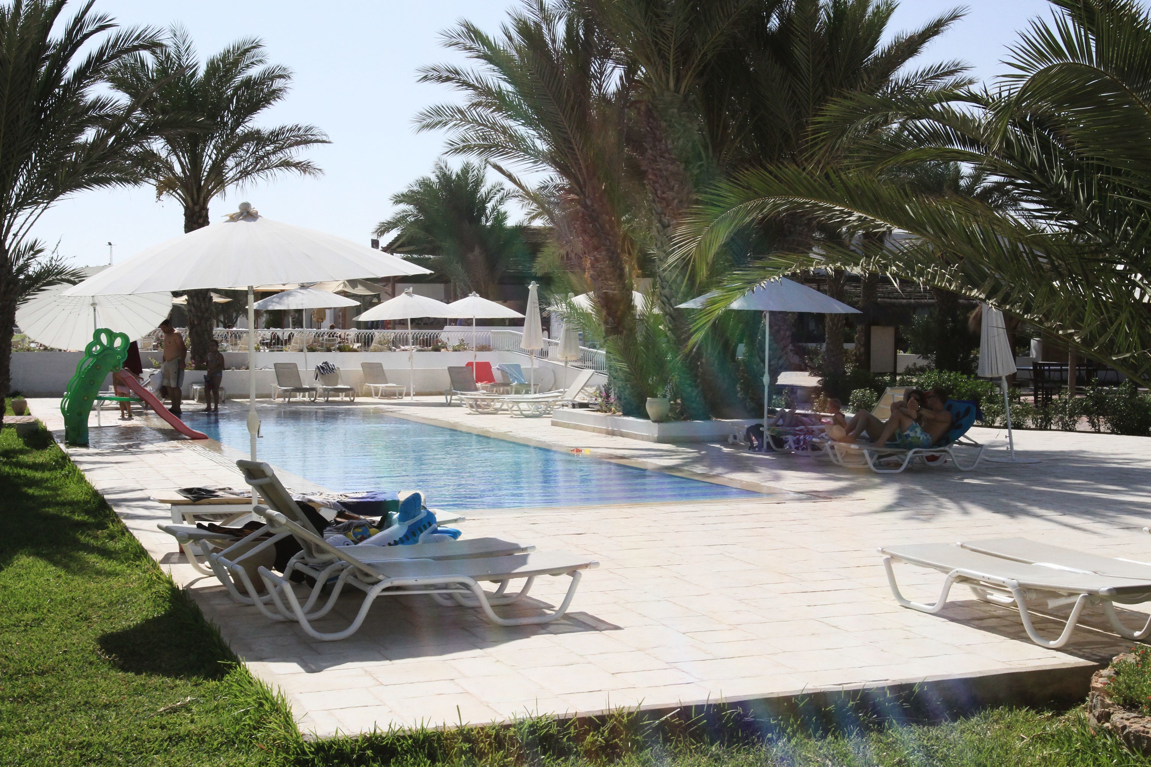 A pool area with lounge chairs, umbrellas, and palm trees.