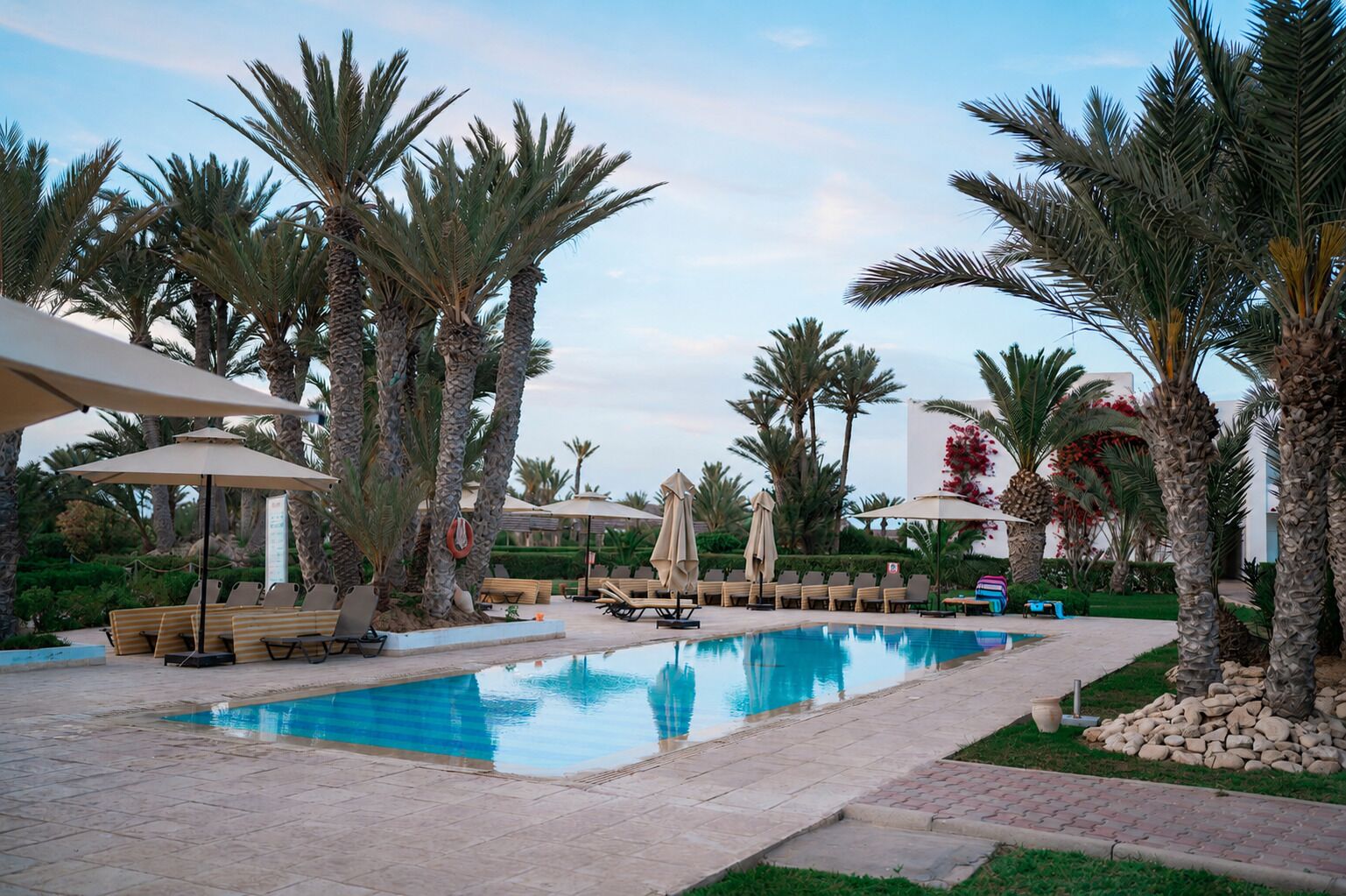 A swimming pool with lounge chairs and umbrellas, surrounded by palm trees.