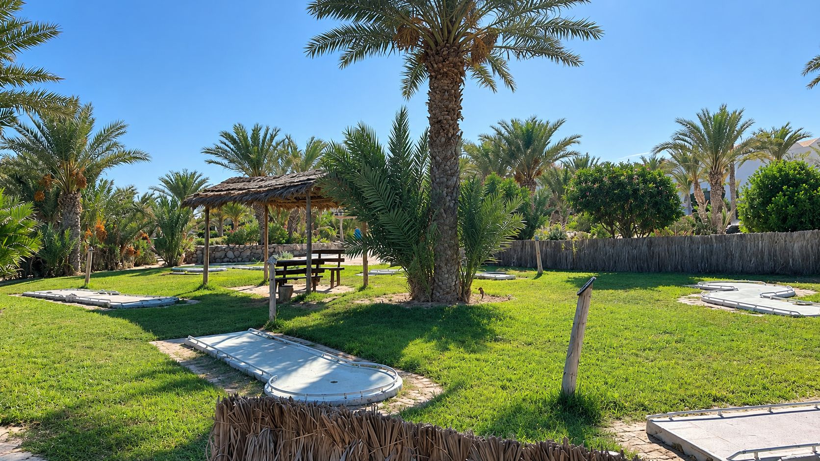 A well-maintained outdoor area with a palm tree, a thatched-roof gazebo, and a concrete play area.
