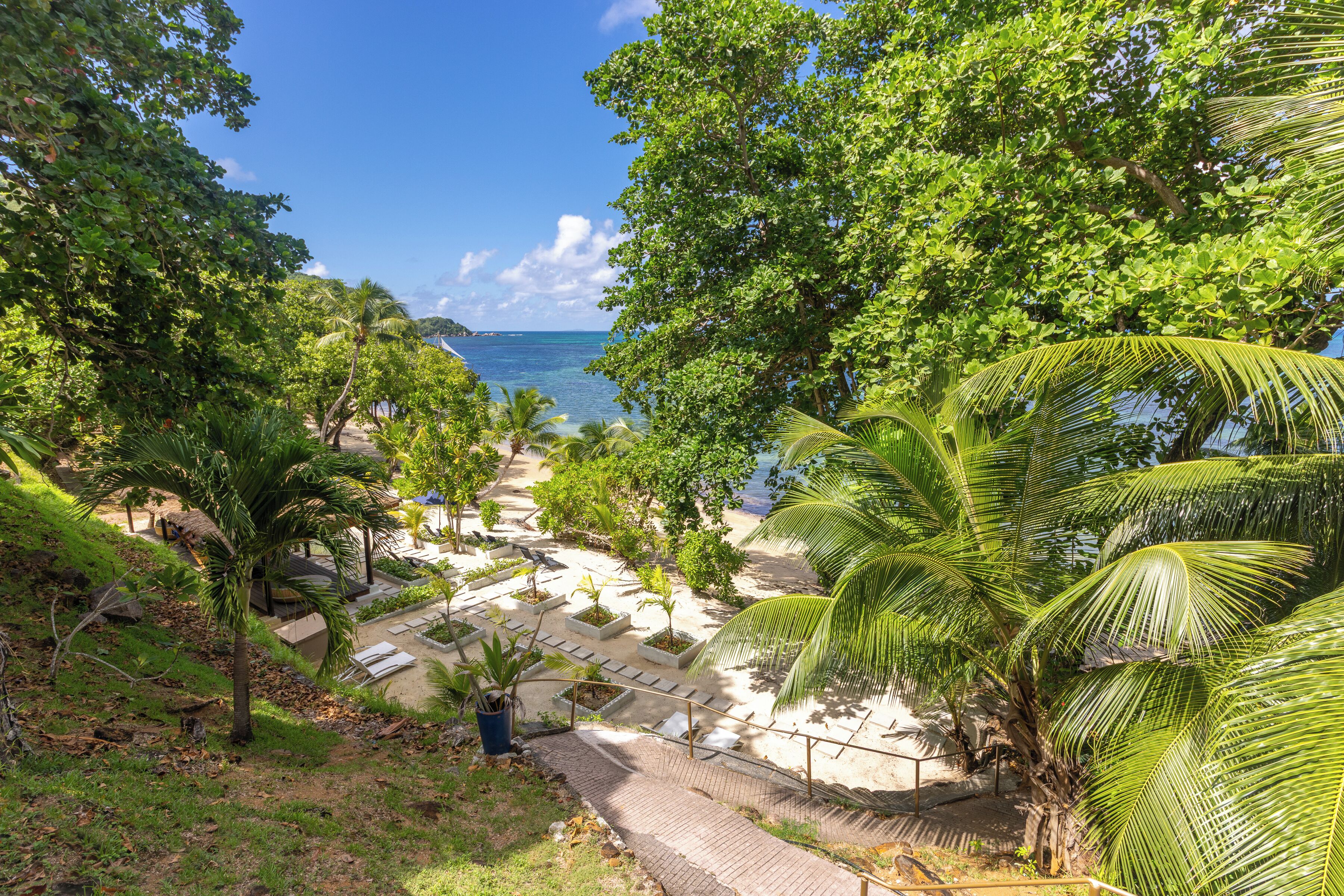 A tropical resort with a beach, palm trees, and a clear view of the ocean.