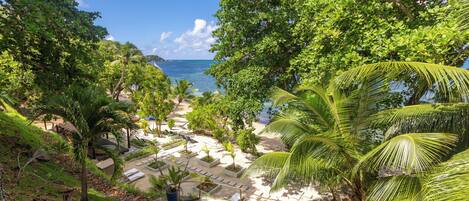 A tropical resort with a beach, palm trees, and a clear view of the ocean.