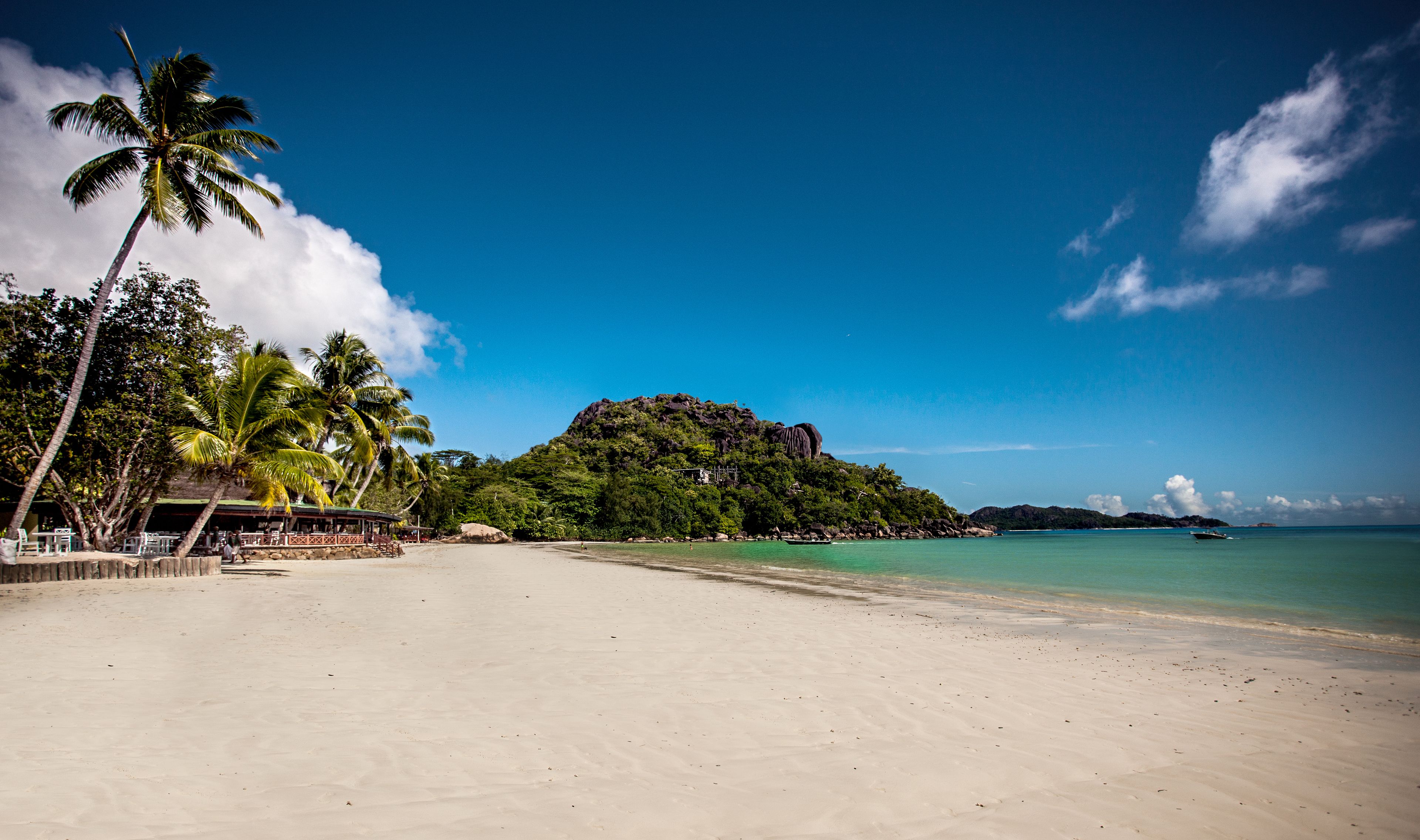 A beach with a clear sky, palm trees, and a rocky island in the background.