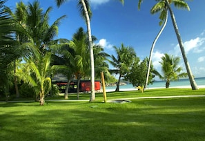 Un jardín tropical con palmeras y vista al mar.