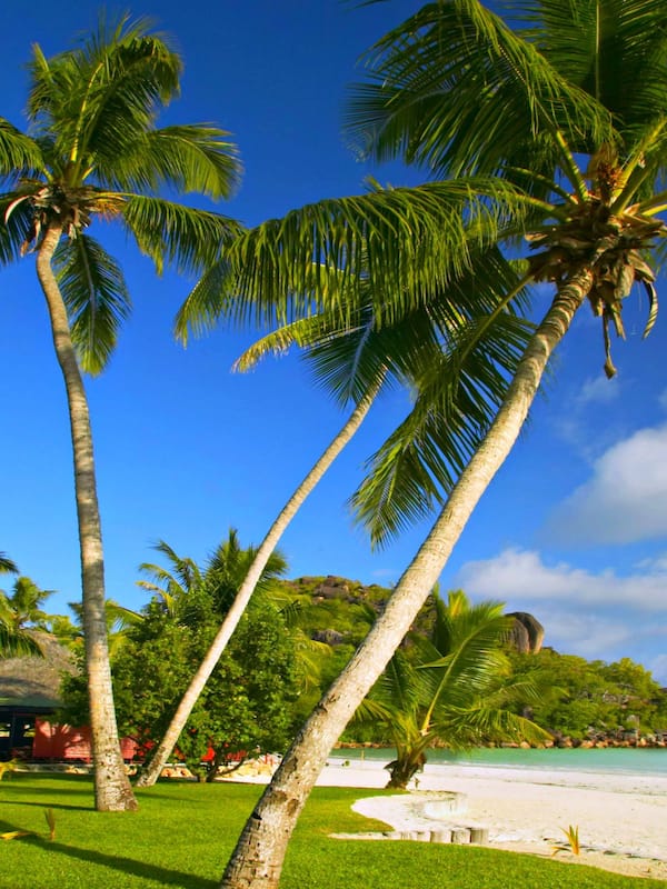 On the beach, sun-loungers, beach umbrellas, beach towels