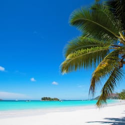 On the beach, sun-loungers, beach umbrellas, beach towels