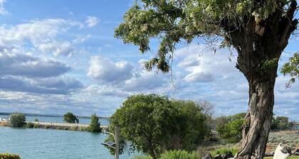 Lakeshore Inn Water Front