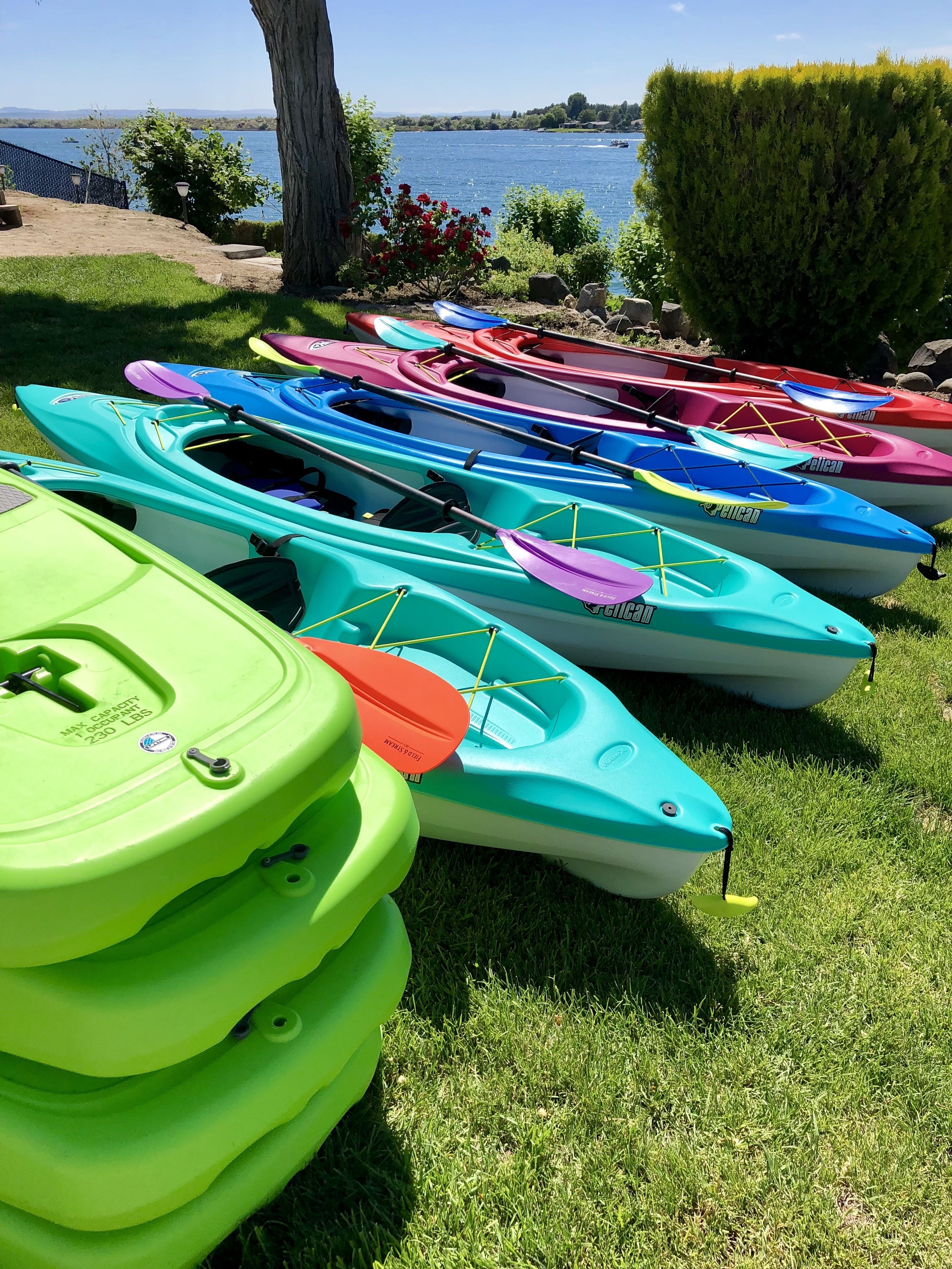 Una hilera de kayaks coloridos alineados en un césped cerca del agua.
