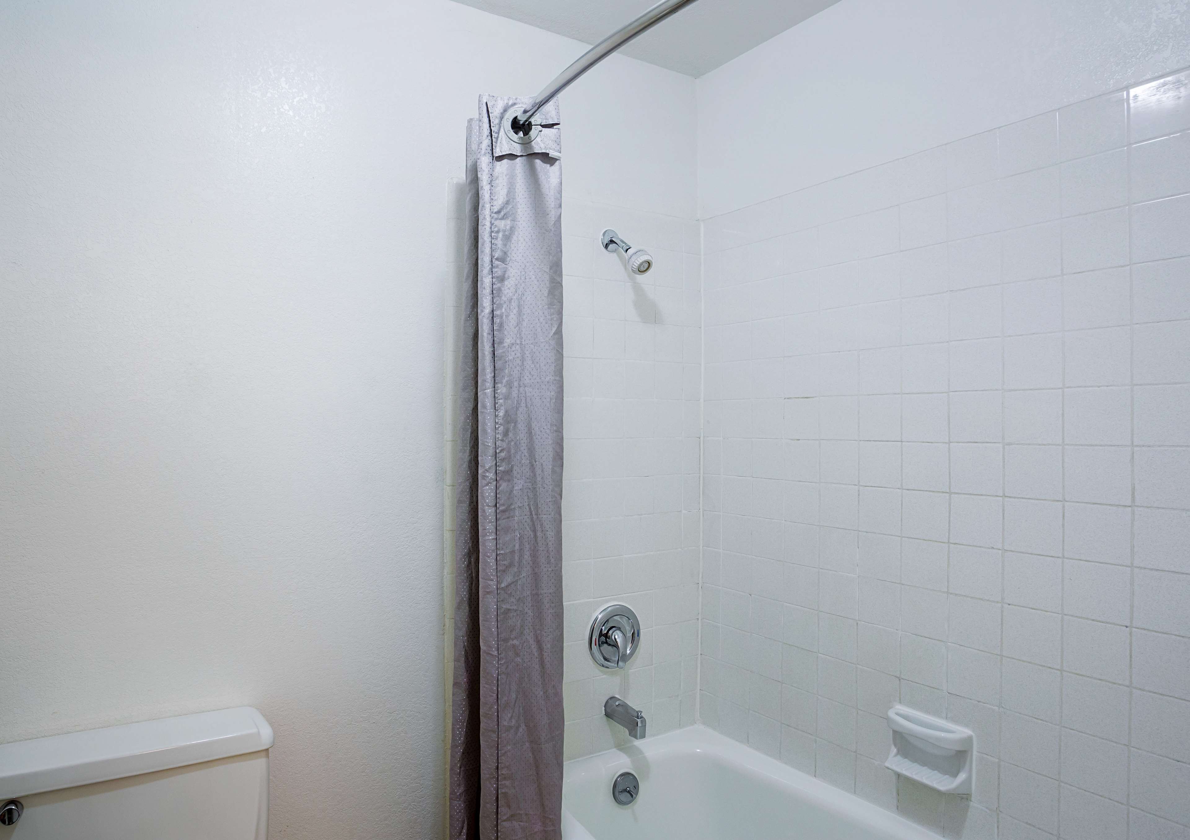 A bathroom with a shower, toilet, and bathtub.